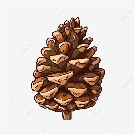 cartoonhd pinecone & pony|Cartoon pine cone Vectors & Illustrations for Free Download.